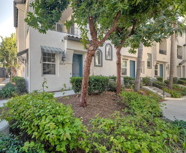 Front Image Thumbnail for CRNDP2510394