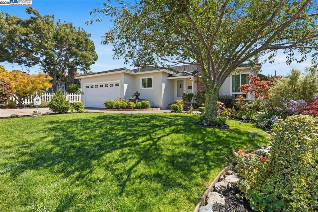 4319 Shamrock Way
