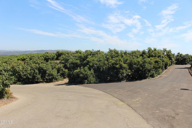 Detail Gallery Image 65 of 72 For 6150 Baja Vista Dr, Somis,  CA 93066 - 7 Beds | 5/2 Baths