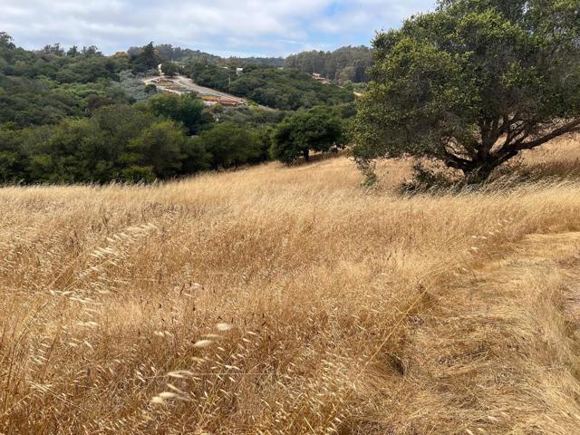 3230 Hillman Lane, Royal Oaks CA: https://media.crmls.org/mediaz/5defa883-07d9-4e8c-af98-0bb69fd7ca9d.jpg