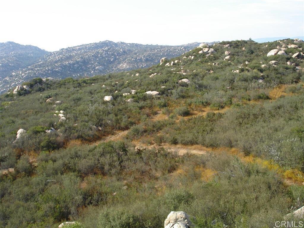 MLS #PTP2508259 image #5