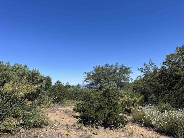 3890 Eagle Ridge, Julian CA: https://media.crmls.org/mediaz/5df8944b-a41b-470b-a4e5-7ef2abf33844.jpg