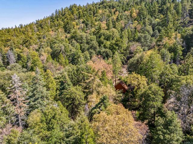 Detail Gallery Image 28 of 30 For 14 +/- Acres Palomar Divide Truck Trl, Palomar Mountain,  CA 92060 - – Beds | – Baths