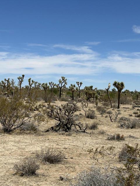 0 Sun Oro Road Road, Yucca Valley CA: https://media.crmls.org/mediaz/5e08156f-07c0-4f64-a503-2de397996c80.jpg