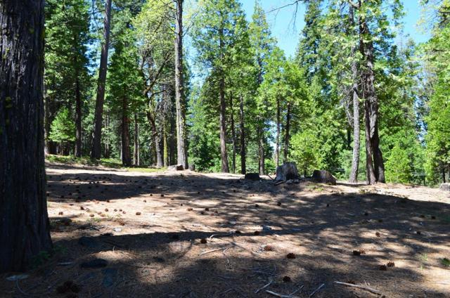 3112 Apache Road, Dorrington CA: https://media.crmls.org/mediaz/5e087a0a-aa5a-4df2-801f-f1de6df06945.jpg