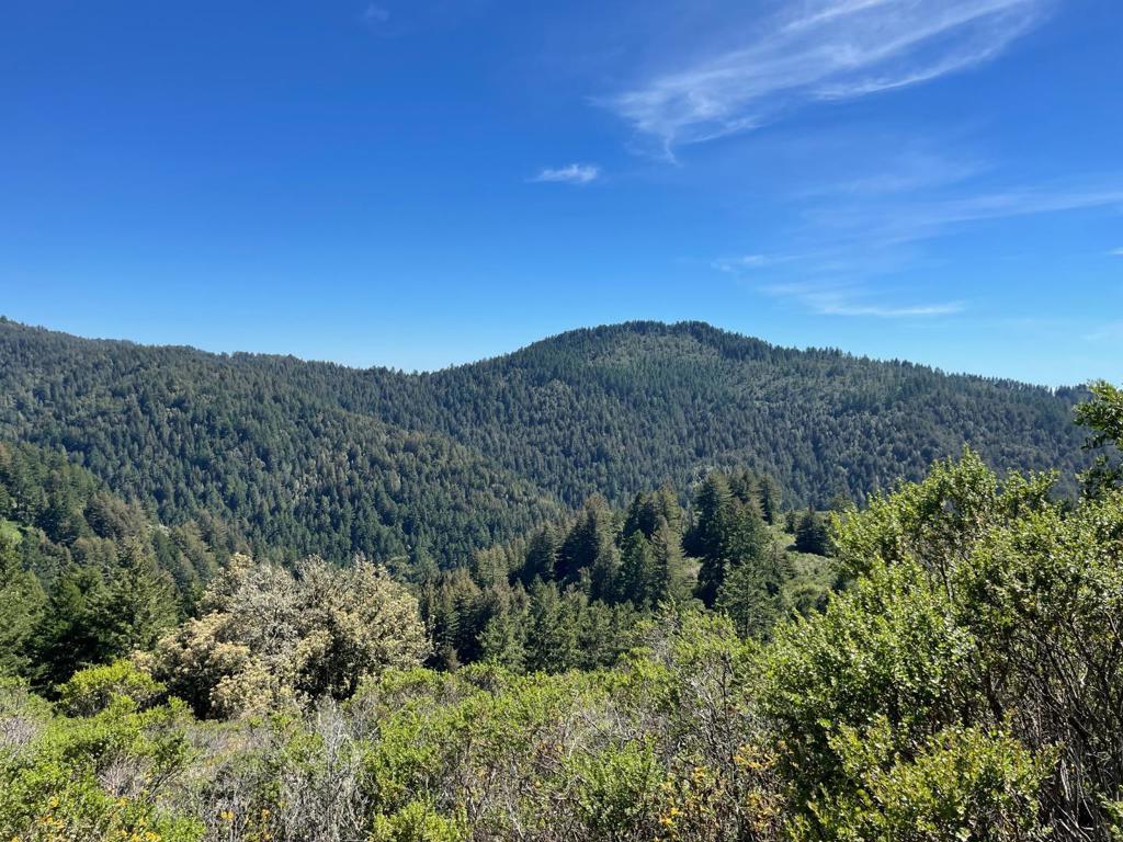 MLS #ML81979482 image #22