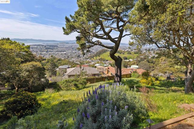 Image 28 of 34 For 1335 Contra Costa Drive