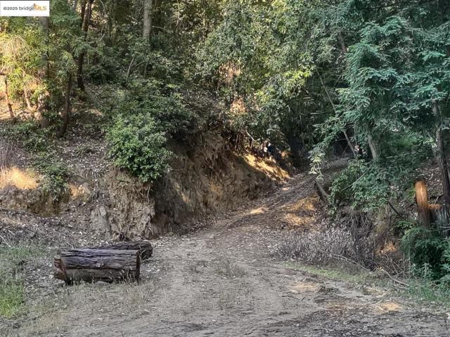 2950 Bear Canyon RD, Los Gatos CA: https://media.crmls.org/mediaz/5e33b0b1-a23e-43e5-9d02-6d7f090b8c20.jpg
