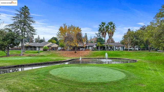 Surrounding community featuring a water view and a lawn