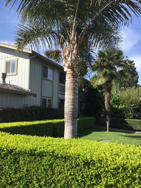 1270 Civic Center Drive, Santa Clara CA: https://media.crmls.org/mediaz/5e450859-72bd-49ad-9db5-11428e047e98.jpg