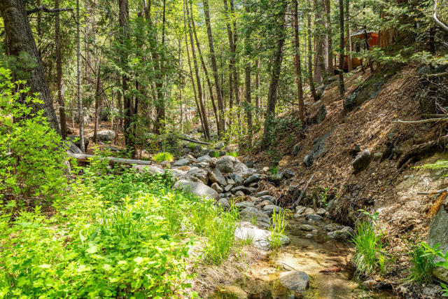 24542 Fern Valley Road, Idyllwild CA: https://media.crmls.org/mediaz/5e48bcc0-d8e1-4d5f-a4f9-6bc1cc68cfe2.jpg