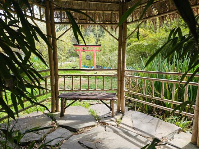 5601 Freedom Boulevard, Aptos CA: https://media.crmls.org/mediaz/5e522171-e5d9-4706-935f-9d7640a05124.jpg