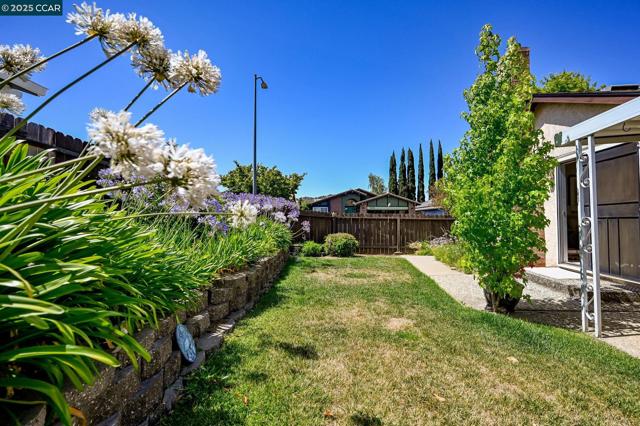 5040 Murchio Dr, Concord CA: https://media.crmls.org/mediaz/5e595f8f-8873-4a3f-89e2-491fdbcc40c5.jpg