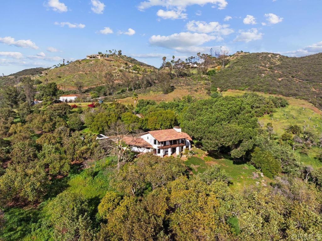 710 Buena Creek Road - photo 6