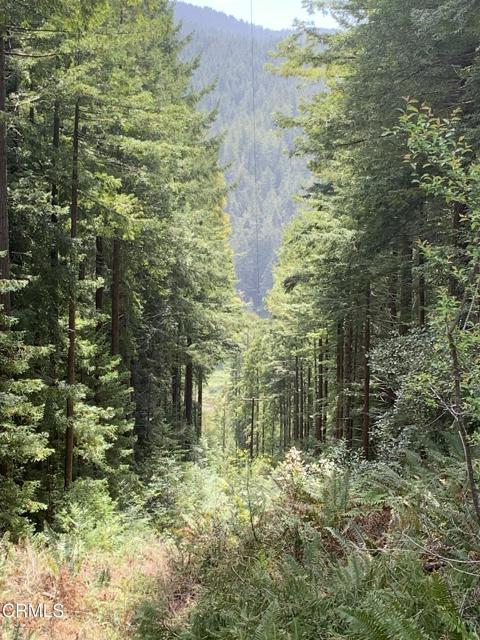 Detail Gallery Image 29 of 41 For 23501 Branscomb Rd, Westport,  CA 95488 - – Beds | – Baths