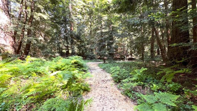 3675 Bonny Doon Road, Santa Cruz CA: https://media.crmls.org/mediaz/5e7c4d1c-9f80-40cb-866e-7e9346af5049.jpg