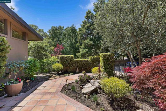 1176 Brown Ave, Lafayette CA: https://media.crmls.org/mediaz/5eaec8ee-a31f-41ff-b001-e0e24e316085.jpg