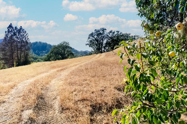 Detail Gallery Image 16 of 23 For 18300 Walker Rd, Willits,  CA 95490 - – Beds | – Baths