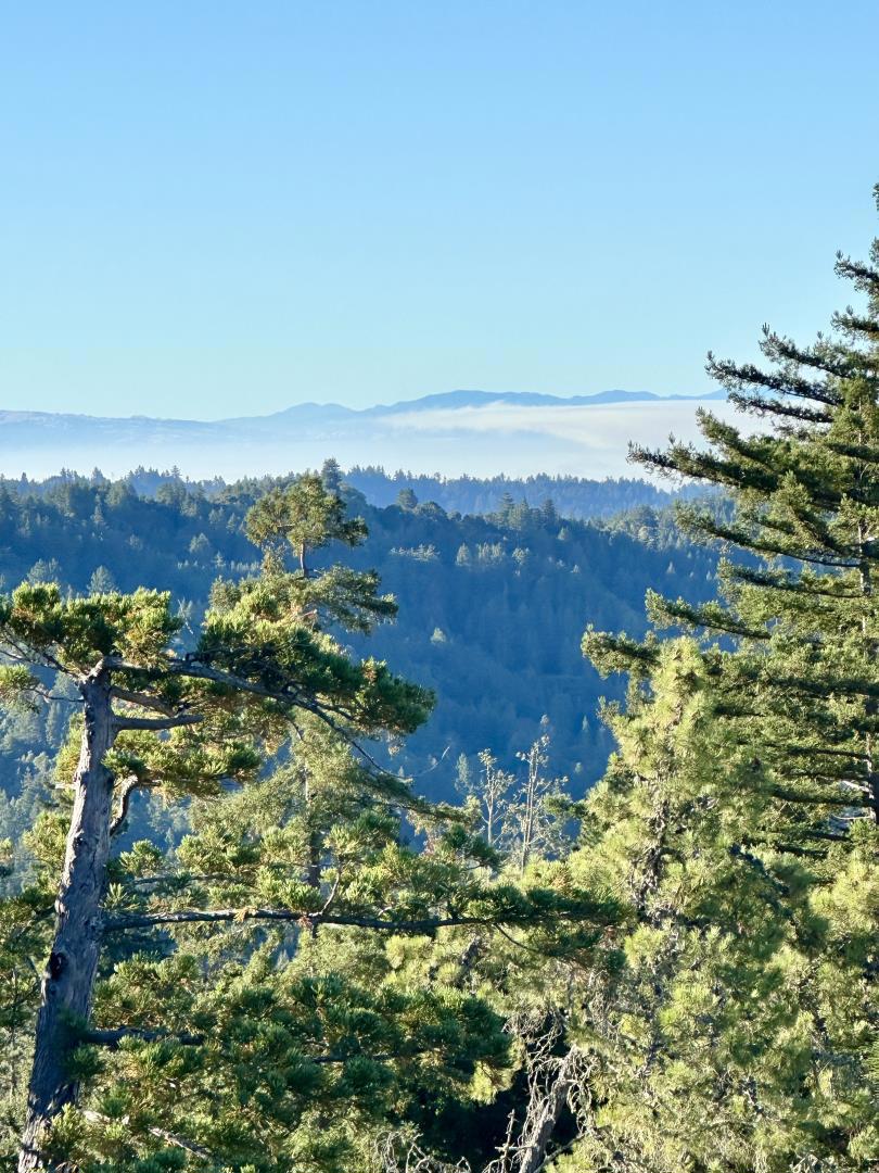 MLS #ML81977847 image #6