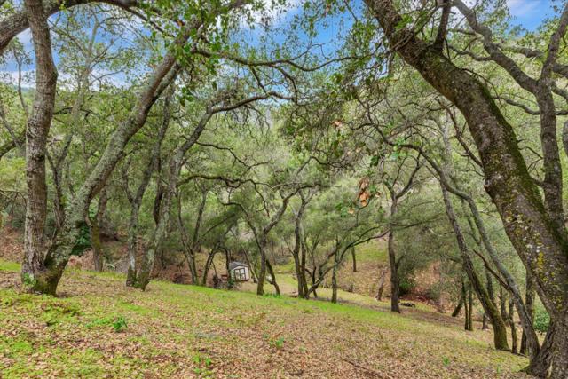 3005 Tohara Way, Morgan Hill CA: https://media.crmls.org/mediaz/5eb37577-7e8d-4129-a938-556a64099a62.jpg