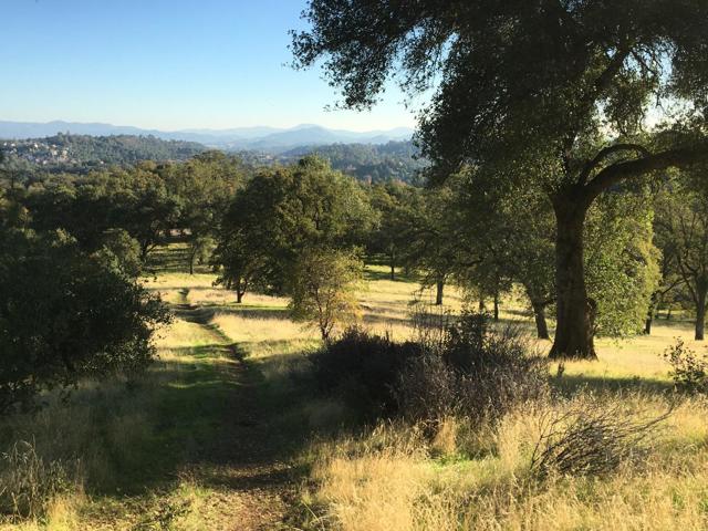 1375 Shaws Flat Road, Sonora CA: https://media.crmls.org/mediaz/5eb3caae-d57e-4156-ab94-47adab32185c.jpg