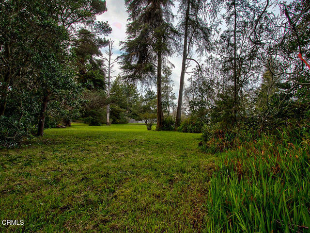 Detail Gallery Image 26 of 26 For 19100 Summers Ln, Fort Bragg,  CA 95437 - – Beds | – Baths