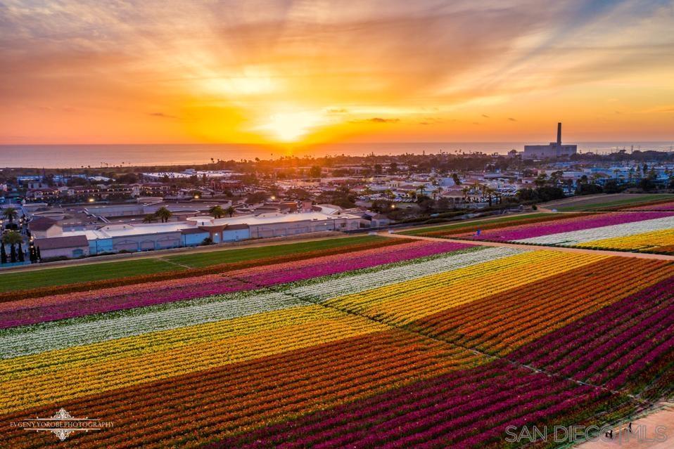 https://media.crmls.org/mediaz/5eb49159-2677-40cc-a7d0-58be30f2667b.jpg?preset=X-Large