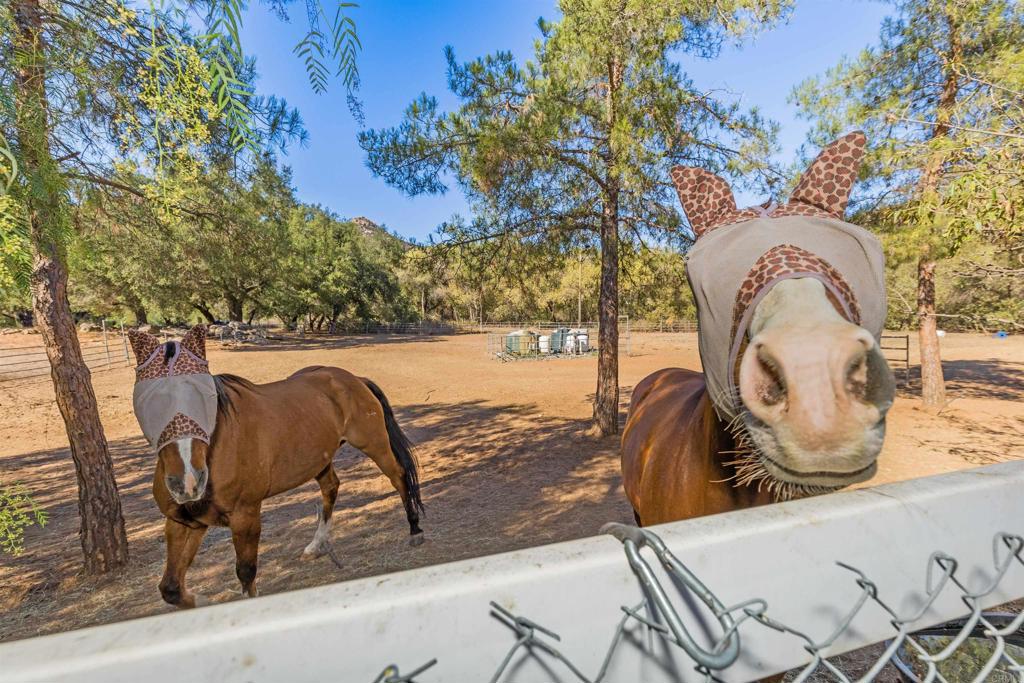 MLS #PTP2508122 image #52