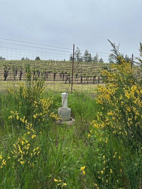 Image 7 of 11 For 11930 Graton Road
