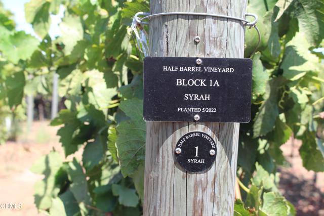 Detail Gallery Image 51 of 72 For 6150 Baja Vista Dr, Somis,  CA 93066 - 7 Beds | 5/2 Baths