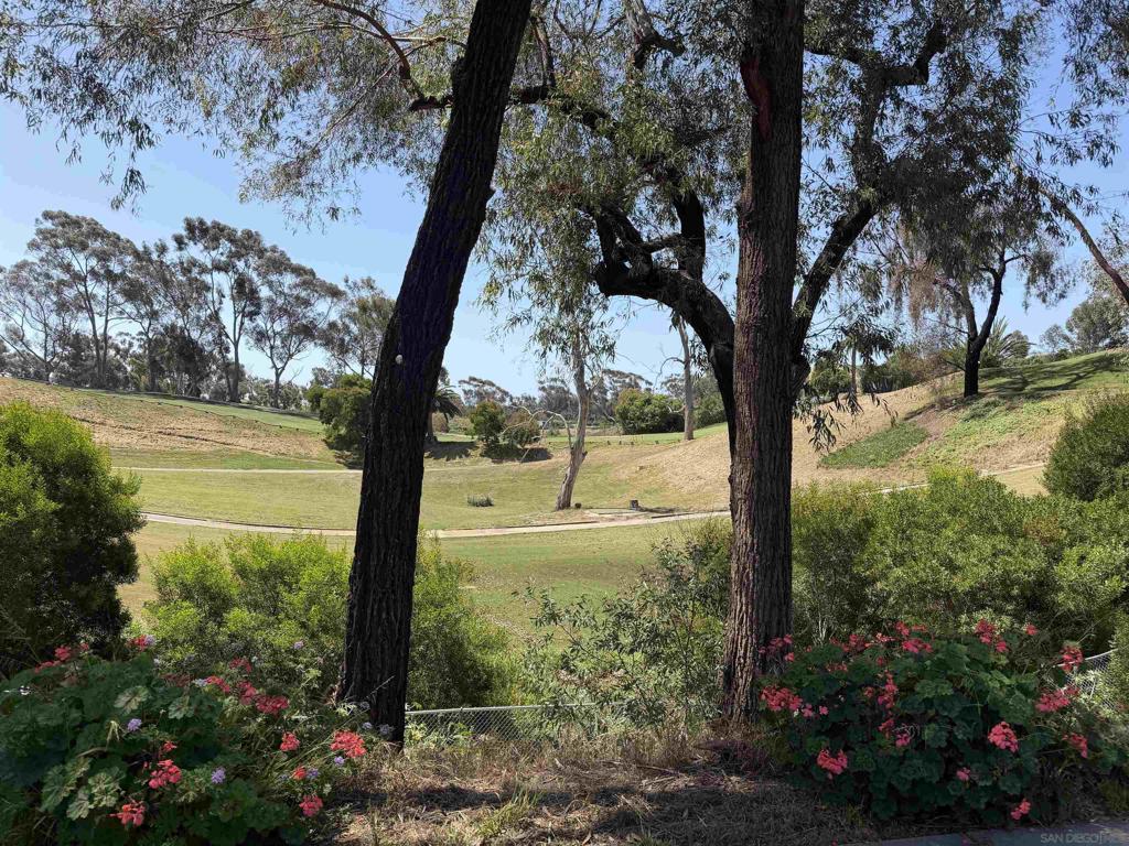 336 Cadillac Circle - photo 13