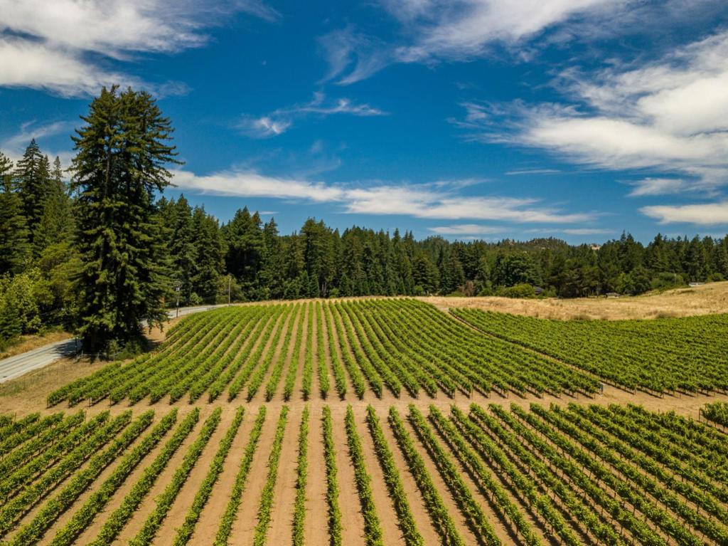 MLS #ML82029140 image #45