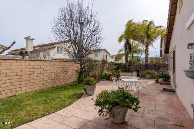 Gorgeous backyard