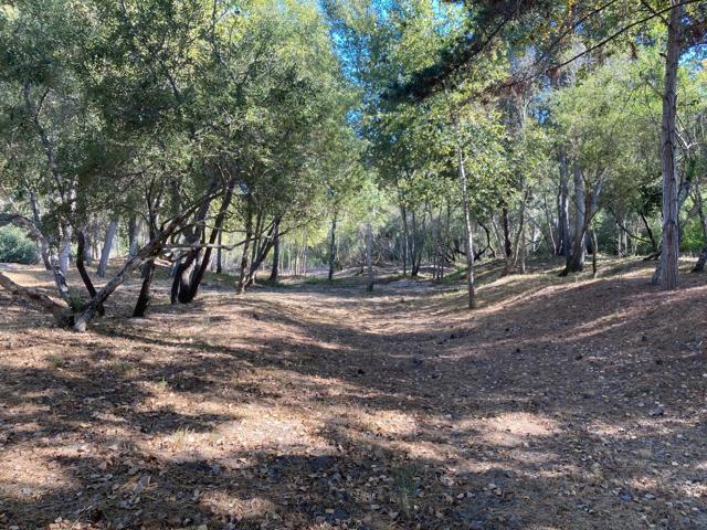 0 Ranch, Carmel Valley Road, Carmel CA: https://media.crmls.org/mediaz/5ed5fd69-392d-4220-9a66-1e8e8c14a1c1.jpg