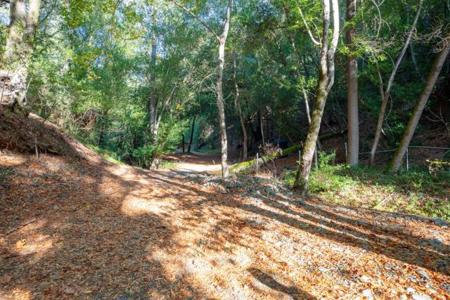 Image 46 of 62 For 20600 Aldercroft