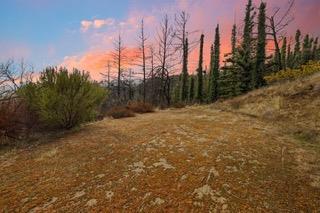 1005 Pinecrest Drive, Boulder Creek CA: https://media.crmls.org/mediaz/5ed98781-b01e-4f0b-ad32-84fa94430d9a.jpg