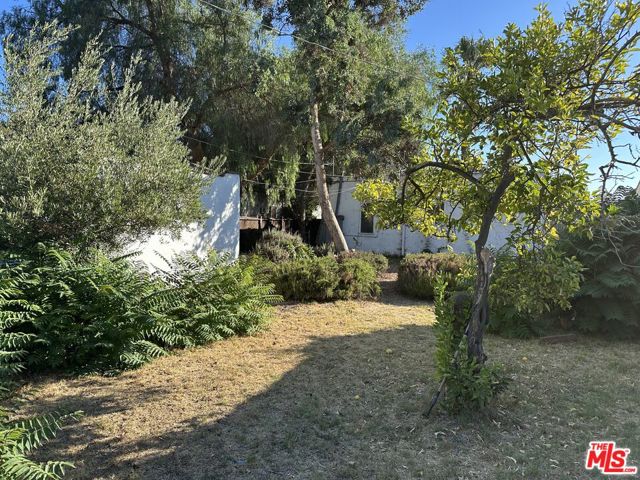 3231 Garden Avenue, Los Angeles CA: https://media.crmls.org/mediaz/5edcfbcc-4362-4660-8c95-9e32e0d5bbb5.jpg