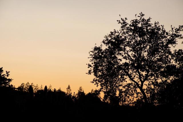 25671 Chapin Road, Los Altos Hills CA: https://media.crmls.org/mediaz/5edf013f-a8f7-427a-816c-93d60e72cc75.jpg