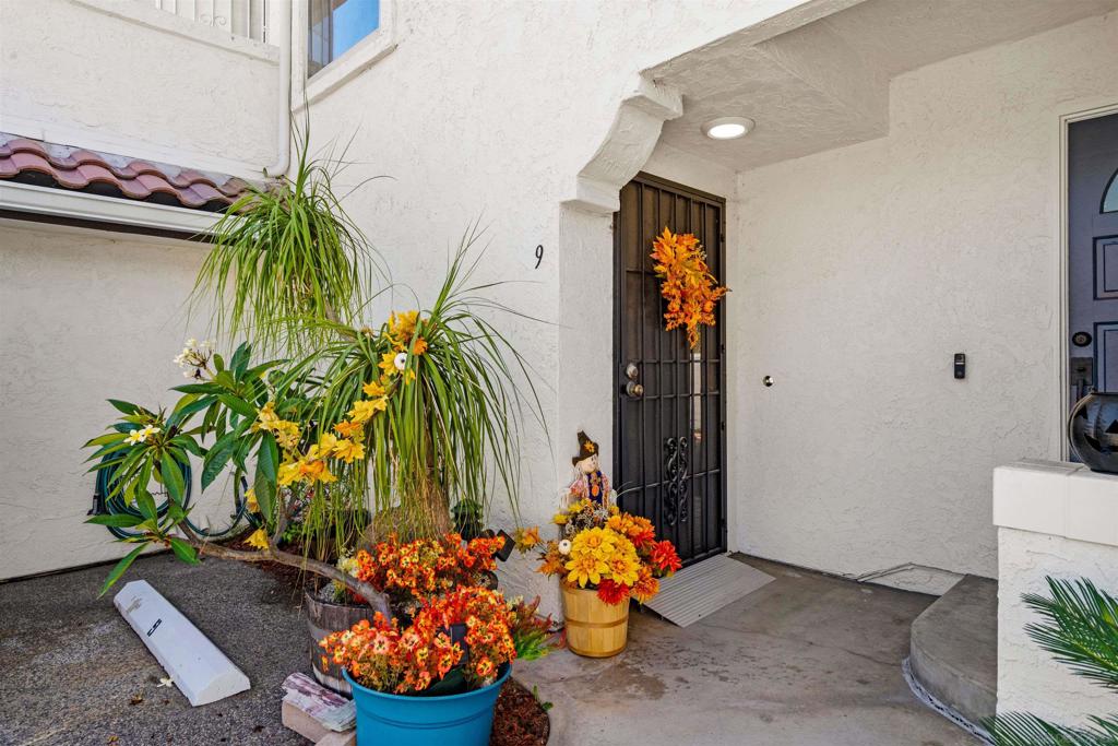 320 Grapevine Rd #9