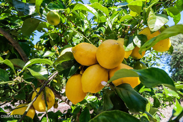 10255 Presilla Road, Santa Rosa CA: https://media.crmls.org/mediaz/5ee6fd86-4c55-4f19-b83a-a93f5222c274.jpg