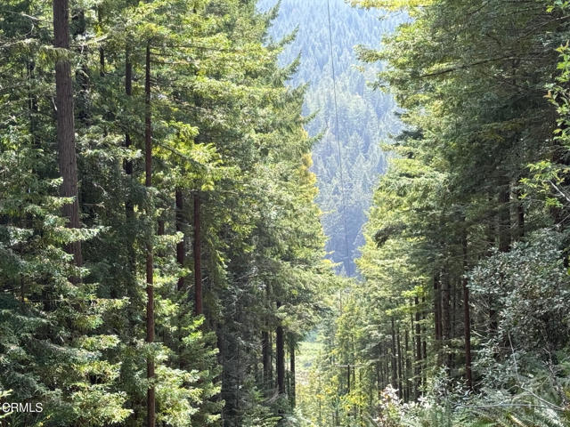 Detail Gallery Image 23 of 41 For 23501 Branscomb Rd, Westport,  CA 95488 - – Beds | – Baths