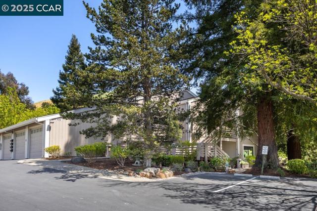 644 Terra Calif Dr, Walnut Creek CA: https://media.crmls.org/mediaz/5ef8723f-8ba9-4a13-915c-104a603cb4a4.jpg