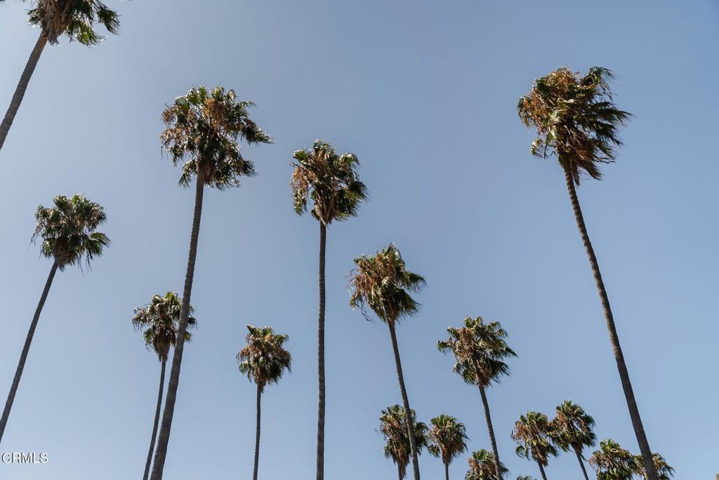 https://media.crmls.org/mediaz/5ef8b11b-bc61-42f5-841b-4a7af4ea5666.jpg?preset=X-Large