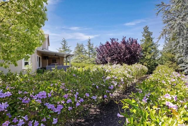 3838 Santa Fe Lane, Tracy CA: https://media.crmls.org/mediaz/5f09a45a-e4d3-4ef1-ba89-116e84c05fb8.jpg
