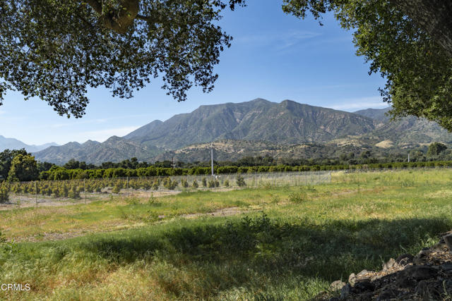 Detail Gallery Image 18 of 23 For 3741 Grand Ave, Ojai,  CA 93023 - 2 Beds | 2/1 Baths