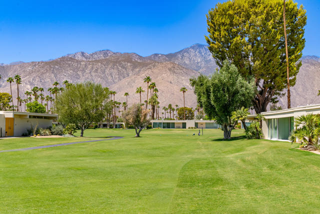 172 Desert Lakes Drive, Palm Springs CA: https://media.crmls.org/mediaz/5f10511b-179e-482c-9b23-96579598268e.jpg