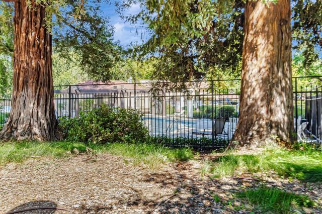 3328 Kimber Court, San Jose CA: https://media.crmls.org/mediaz/5f11f4b3-d8b2-4aa5-a477-f153bfe186d2.jpg