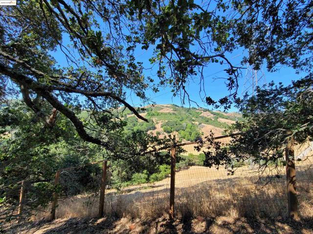 40 Hilldale Ct, Orinda CA: https://media.crmls.org/mediaz/5f12e162-1da7-4bf0-8d71-97f5a7f7e1bd.jpg