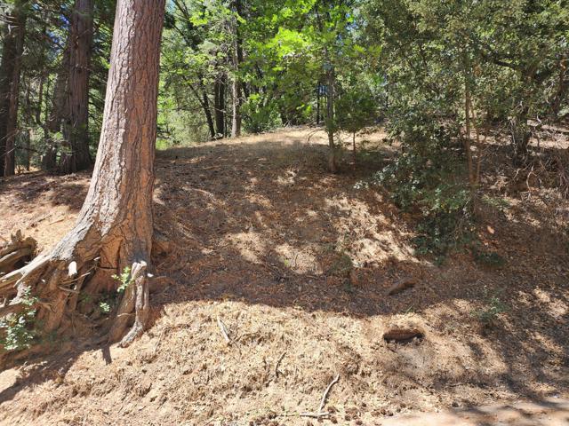 0 Edelweiss Drive, Crestline CA: https://media.crmls.org/mediaz/5f12e334-e16d-4a48-a3eb-352d7db14fde.jpg