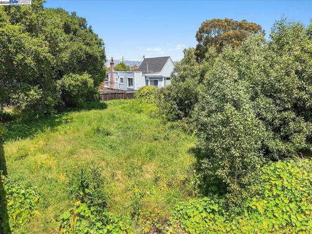 310 Spruce St, Alameda CA: https://media.crmls.org/mediaz/5f1ca19d-3d98-4179-a6d2-ba4b729f9ca5.jpg